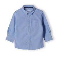 Shirts (5)